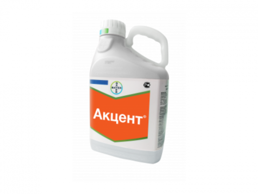 Акцент, КЭ